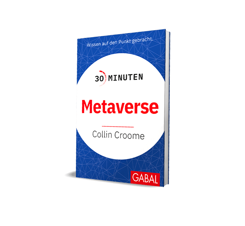 Metaverse Buch
